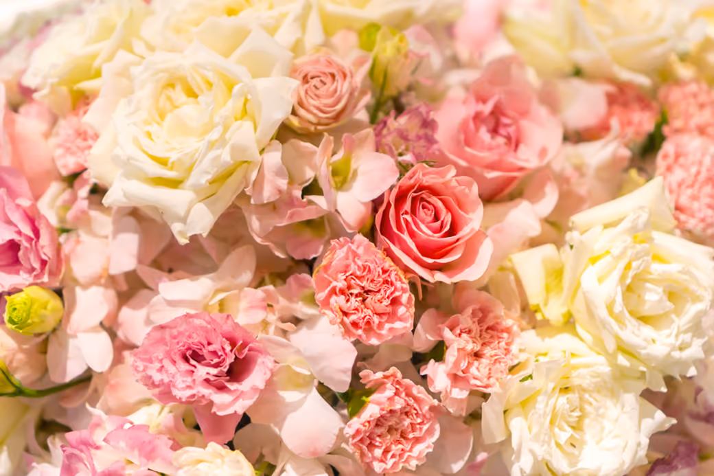 Pink & White Rose Bouquet Macro — desktop and phone wallpaper, free download