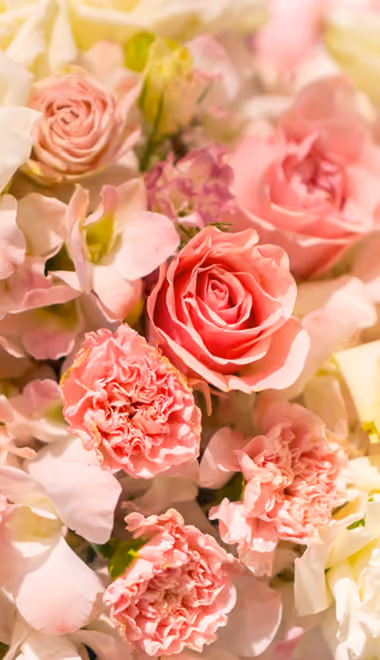 Romance Wallpapers for iPhone 4/4S (640x960): roses, bouquet, arrangement, macro
