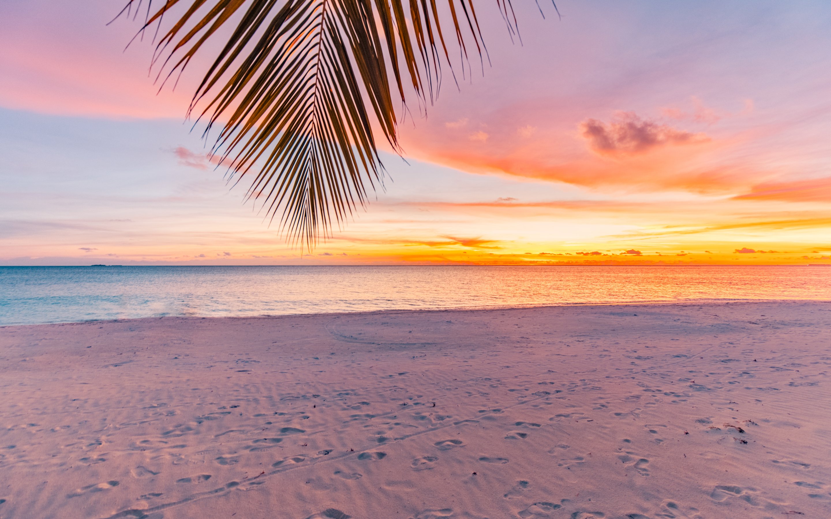 Tropical Beach Sunset Panorama - Wallpapers for Apple MacBook 15″ in 2880x1800 resolution