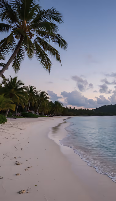 Nature wallpapers: tropics, beach, ocean, palms