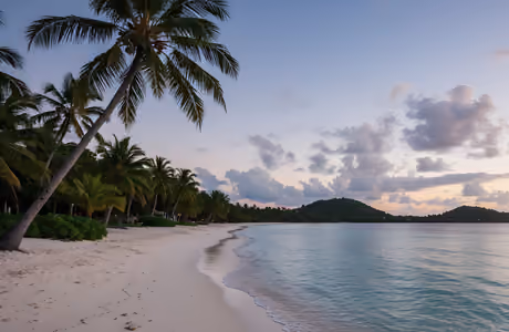 Sailboat Wallpapers for Samsung/Xiaomi (2000x2000): tropics, beach, ocean, palms