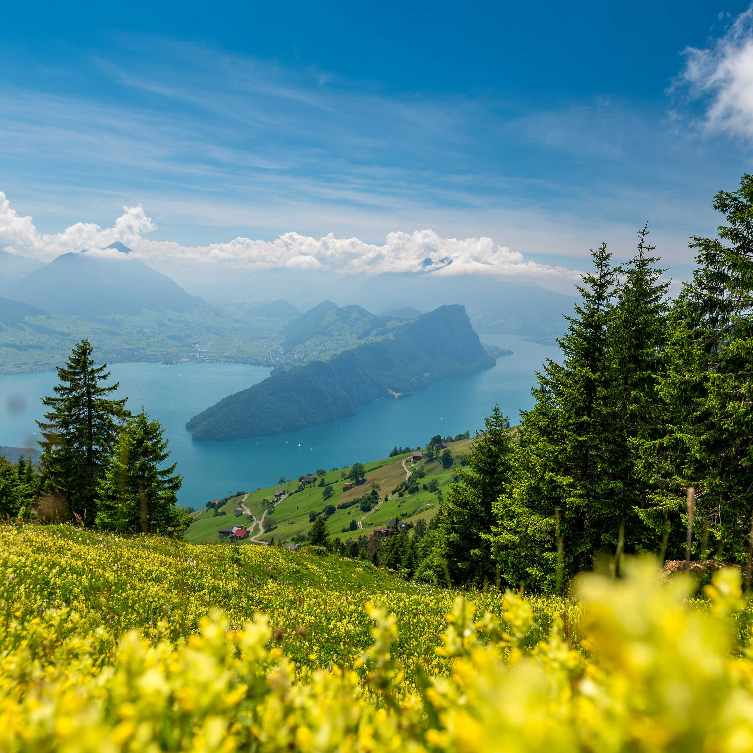 Swiss Alps Summer Lake View - Wallpapers for Samsung Galaxy Tab S9 FE+/Tab S11, Xiaomi Pad 5, Redmi Pad 2 Pro, POCO Pad in 2560x2560 resolution