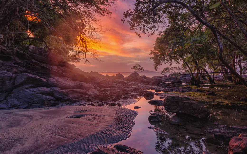 Sunset Evening by Forest Stream — desktop and phone wallpaper, free download