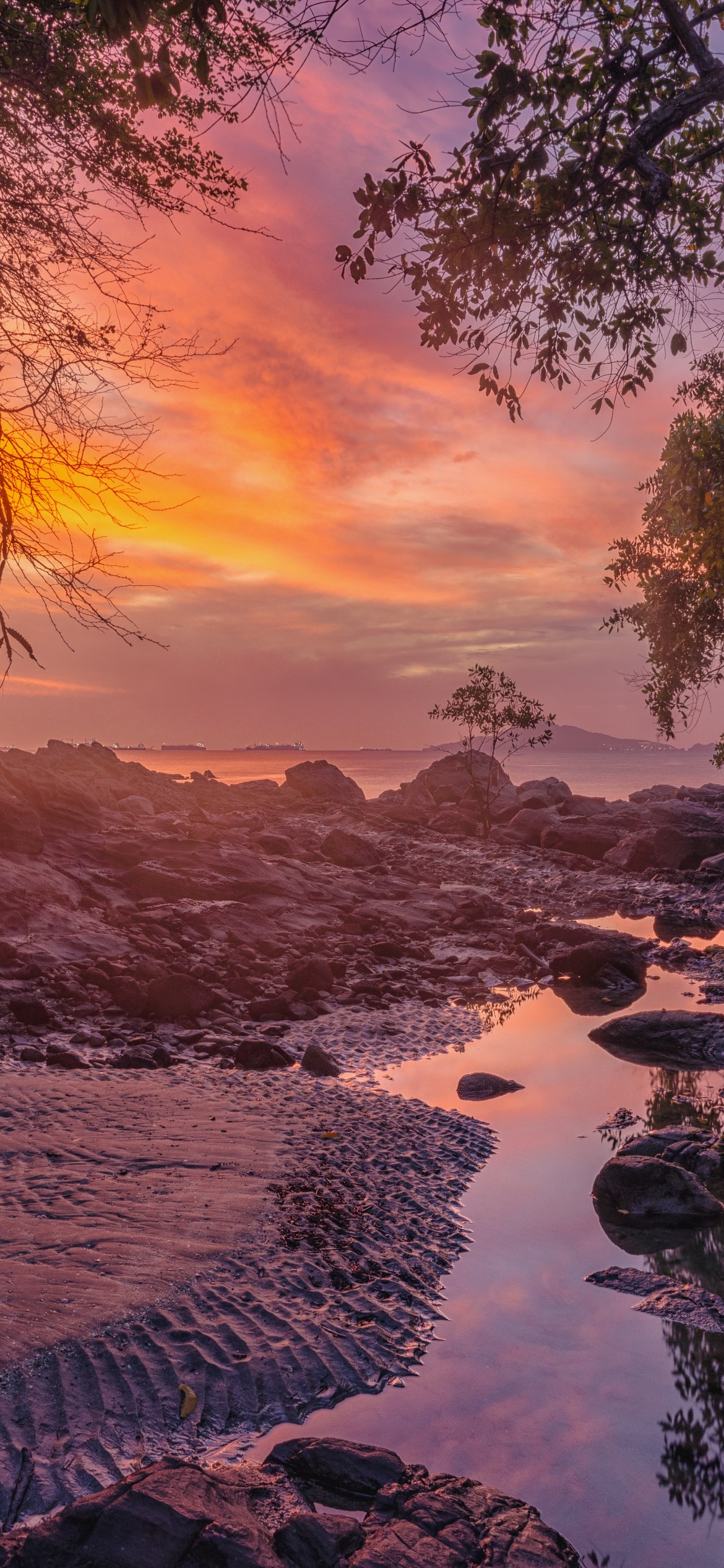 Sunset Evening by Forest Stream - Wallpapers for iPhone 12 Pro/13 Pro/14 in 1170x2532 resolution
