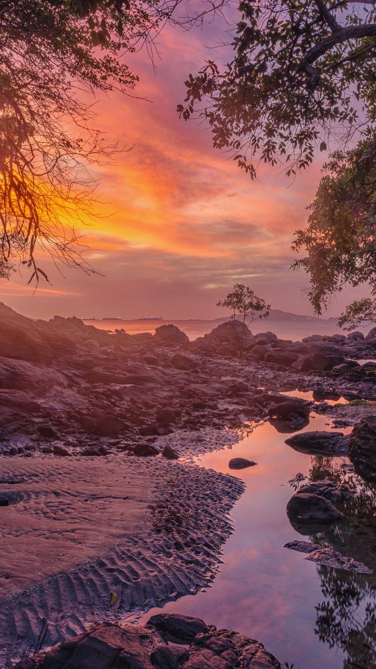 Sunset Evening by Forest Stream - Wallpapers for iPhone 6/6S/7/8/SE2/SE3 in 750x1334 resolution