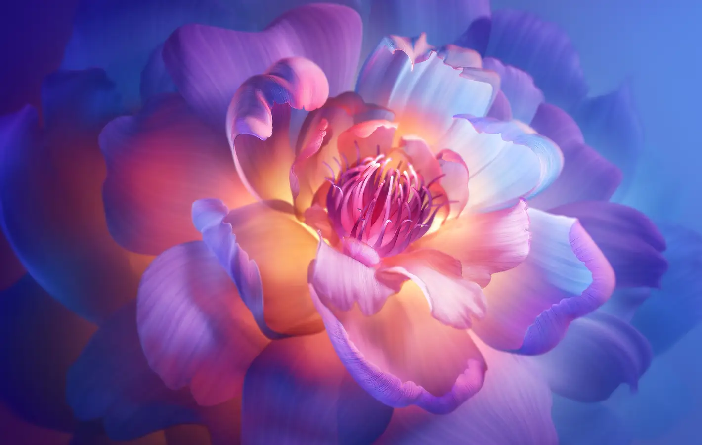 Closeup of glowing purple flower — desktop and phone wallpaper, free download