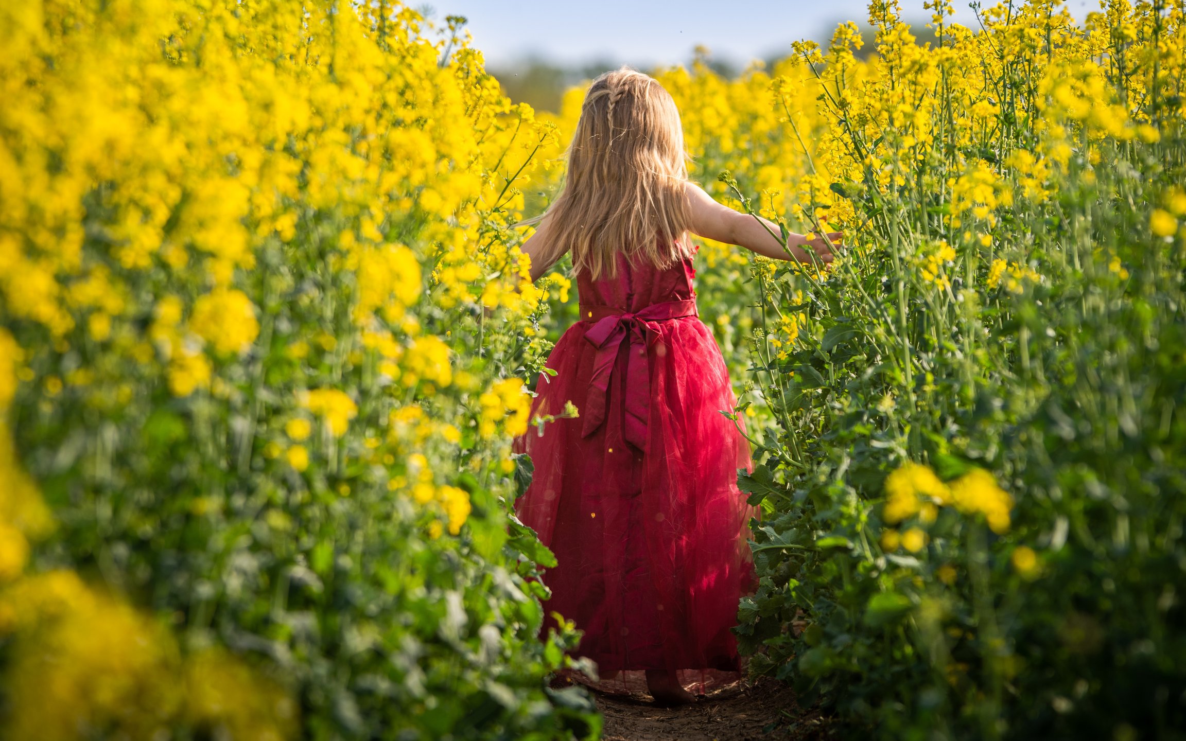 Blonde Child in Red Dress in Meadow - Wallpapers for Apple MacBook 12″ in 2304x1440 resolution