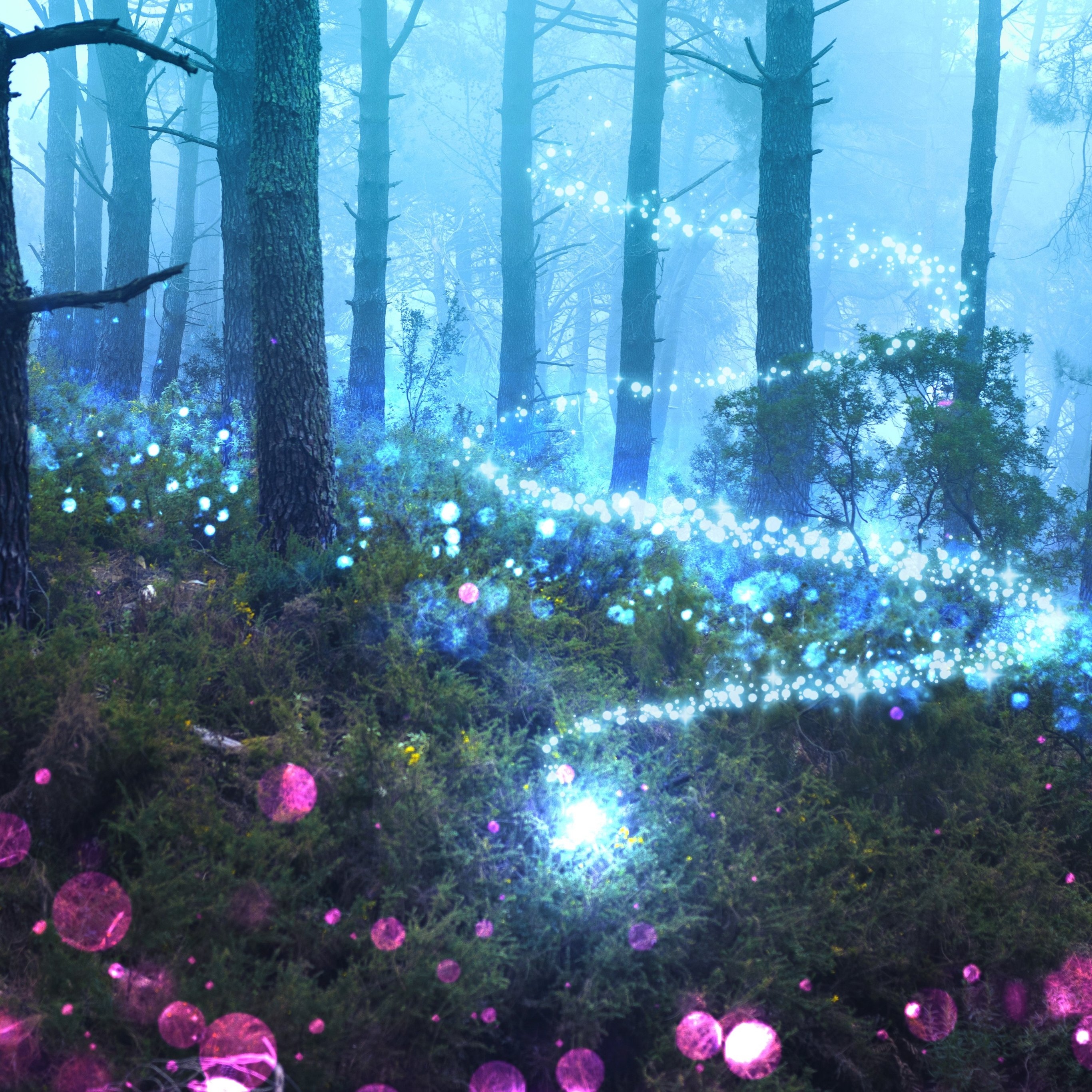 Magical forest with a magical glow - Wallpapers for iPad Pro 12.9″ in 2732x2732 resolution