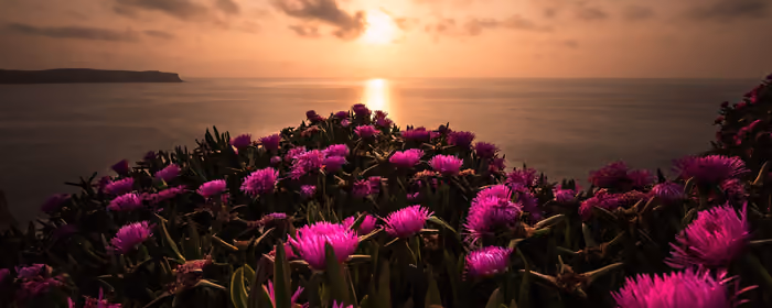 UltraWide 32:9 Spain wallpapers (5120x1440): Spain, flowers, sea, coast
