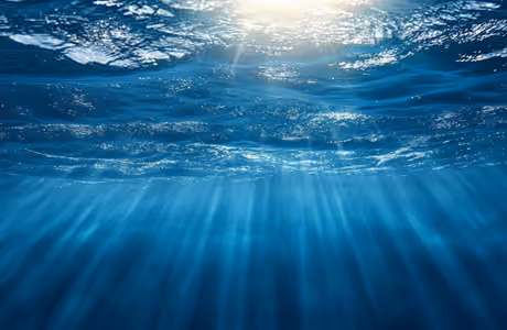 Nature wallpapers: underwater, ocean, sea, ray