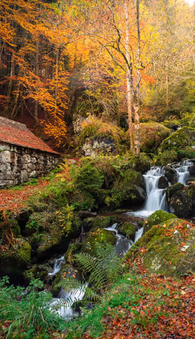 Cottage Wallpapers for iPhone 18 Pro/18/17 Pro/17/16 Pro (1206x2622): cabin, autumn, forest, mountains