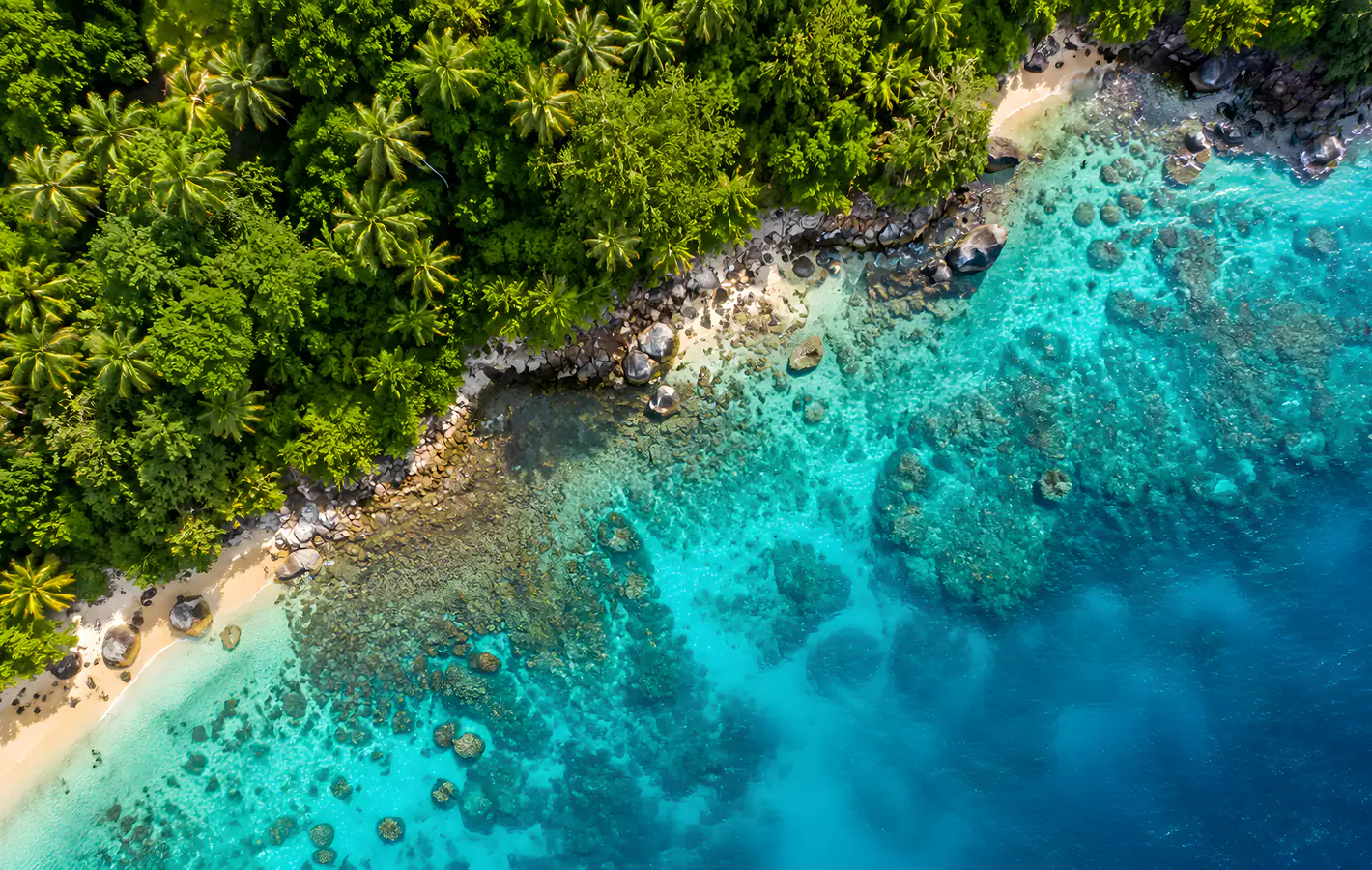 Tropical coast with a blue ocean — desktop and phone wallpaper, free download