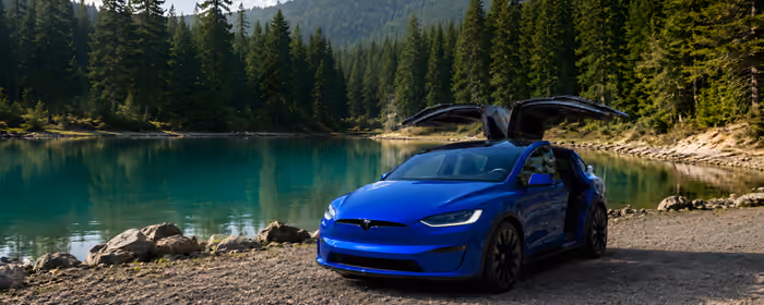 Обои машины: Tesla Model X, Tesla Plaid, электромобиль, Внедорожник
