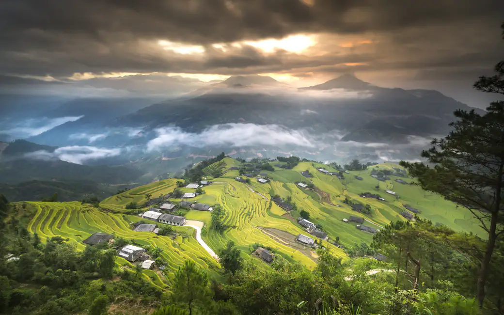 Vietnamese Rice Fields at Sunset — desktop and phone wallpaper, free download