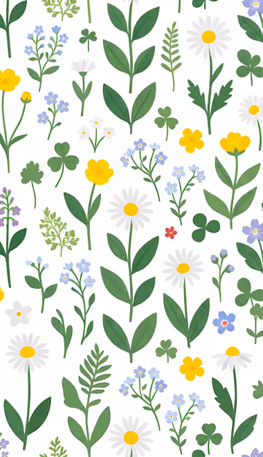 Wallpapers for Samsung/LG (720x1280): floral pattern, chamomiles, flowers, leaves