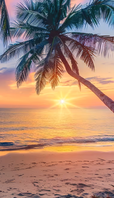 Nature wallpapers: tropics, beach, ocean, sky