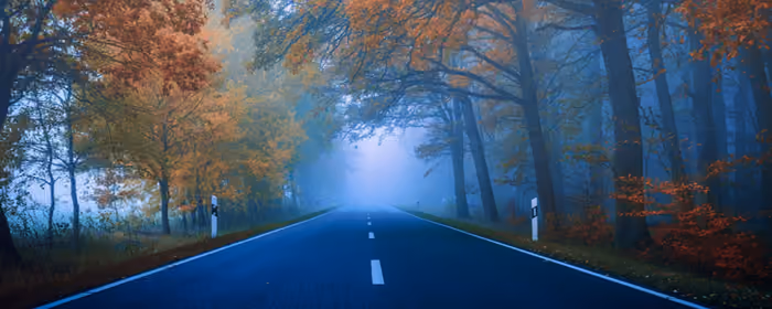 UltraWide 21:9 Highway wallpapers (3440x1440): road, forest, trees, asphalt