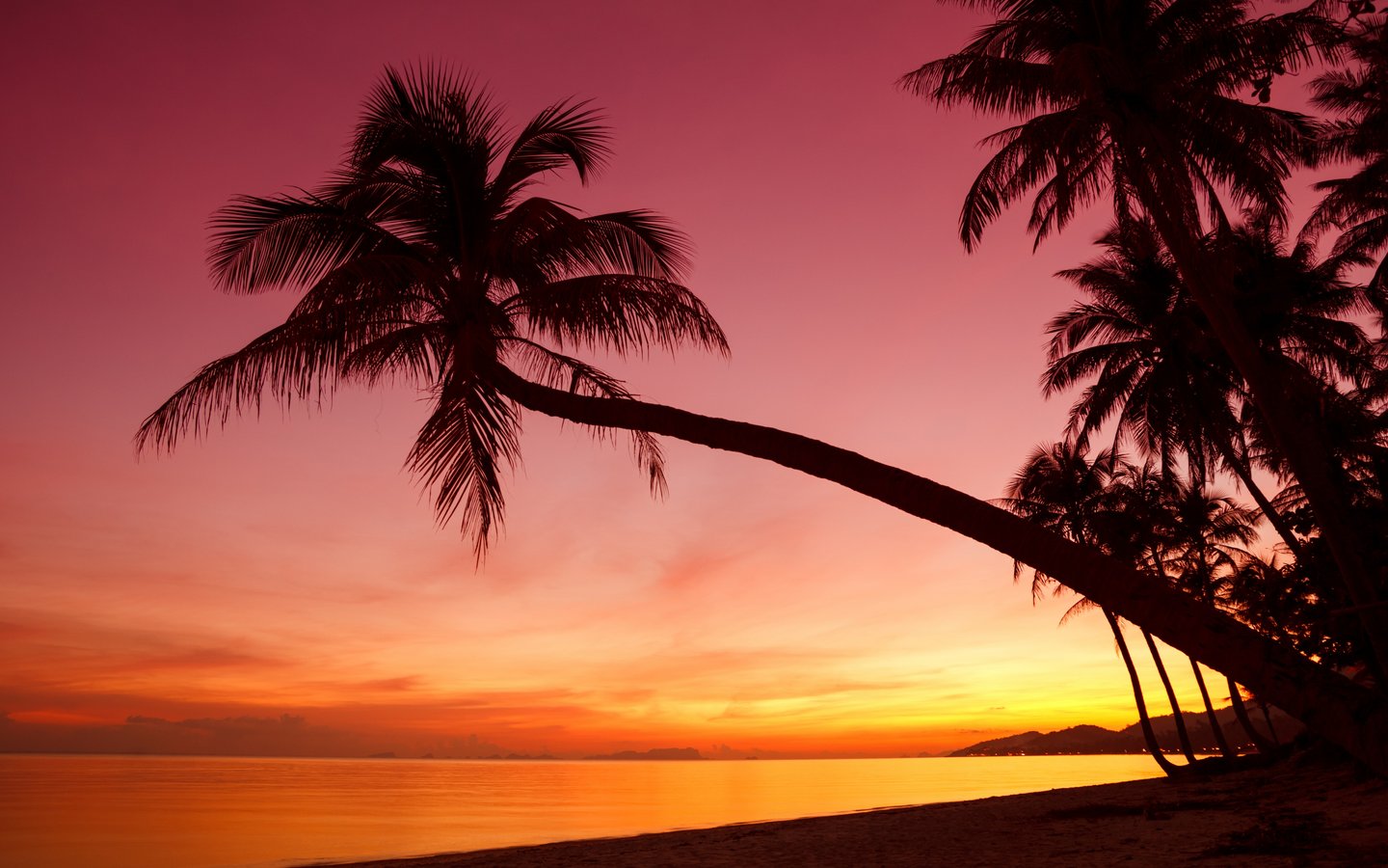 Tropical beach with colorful sunset - WSXGA wallpapers in 1440x900 resolution