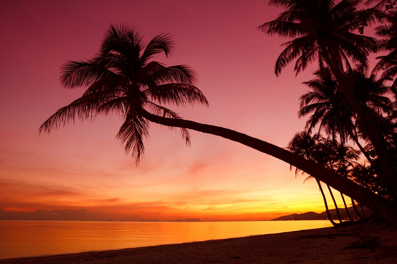 Tropical beach with colorful sunset - Microsoft Surface 12.4″ wallpapers in 1536x1024 resolution