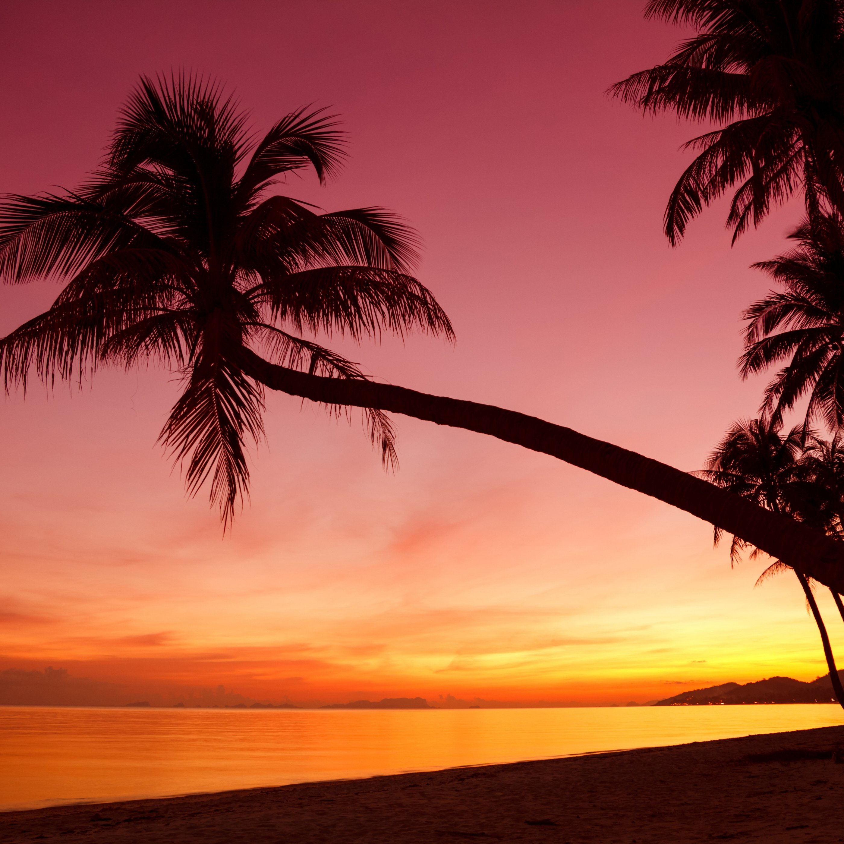 Tropical beach with colorful sunset - Wallpapers for Samsung Galaxy Tab S9+ in 2800x2800 resolution