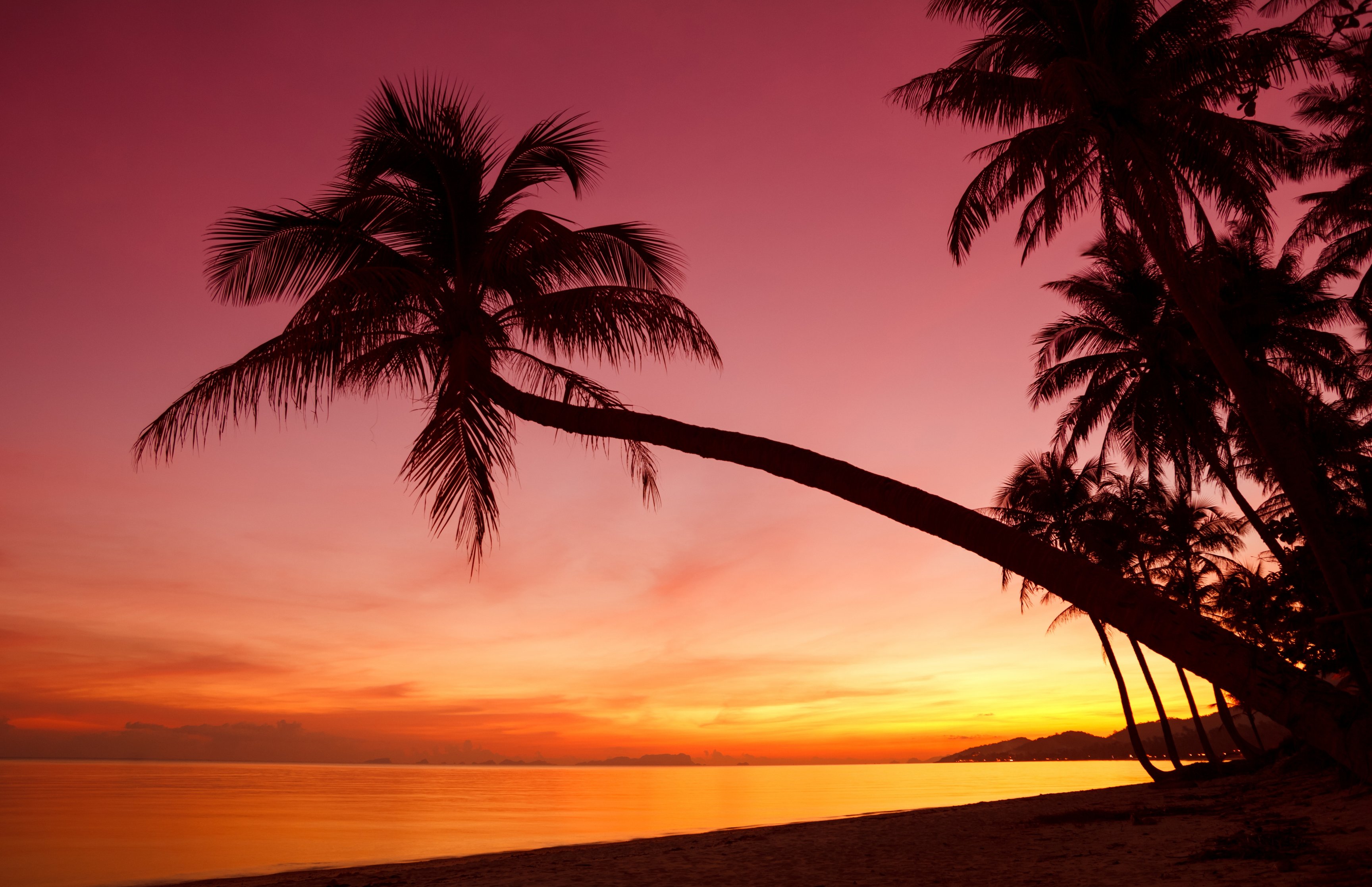 Tropical beach with colorful sunset - Wallpapers for Apple MacBook 16.2″ in 3456x2234 resolution