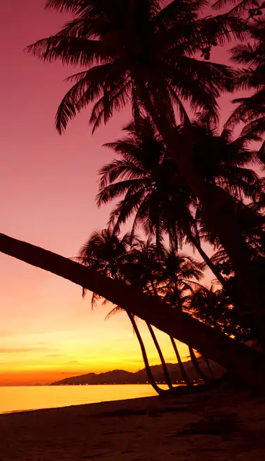 island Wallpapers for Samsung Galaxy Z Flip6, Motorola Razr 2025 (1080x2640): tropics, beach, sky, ocean