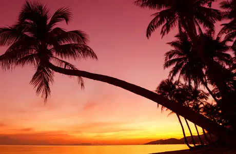 Nature wallpapers: tropics, beach, sky, ocean