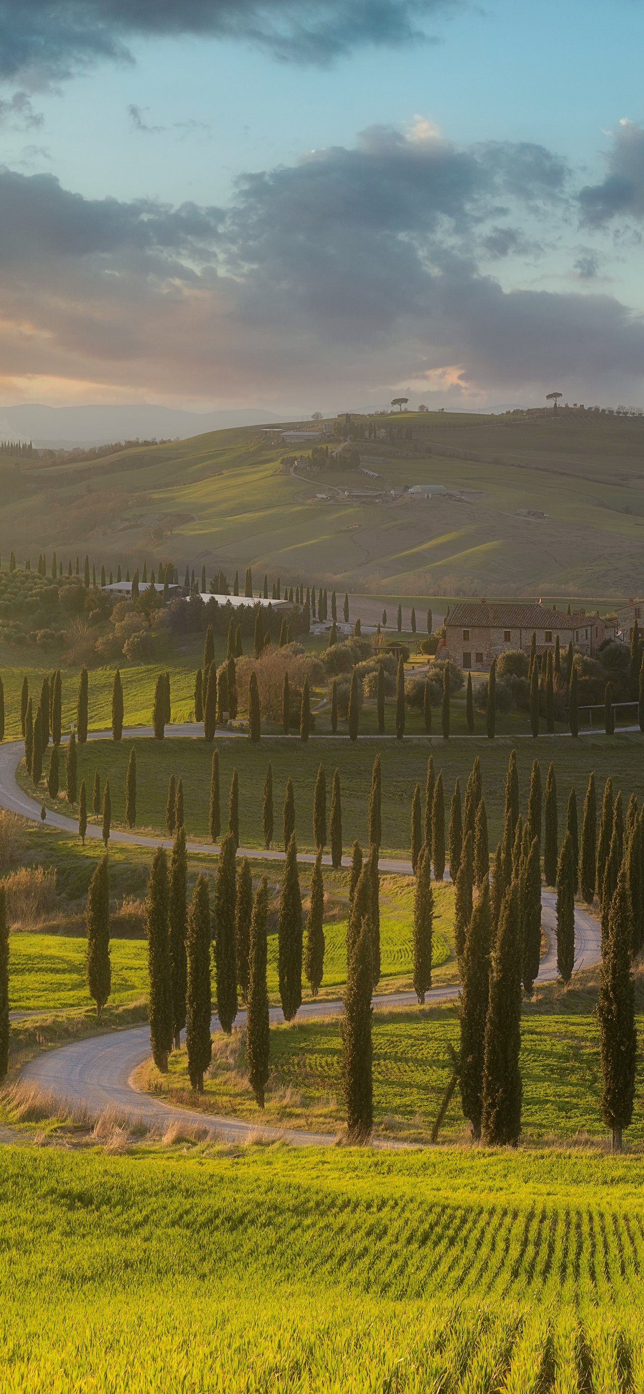 Tuscany Landscape with Cypress Trees - Wallpapers for Xiaomi 15T in 1280x2772 resolution