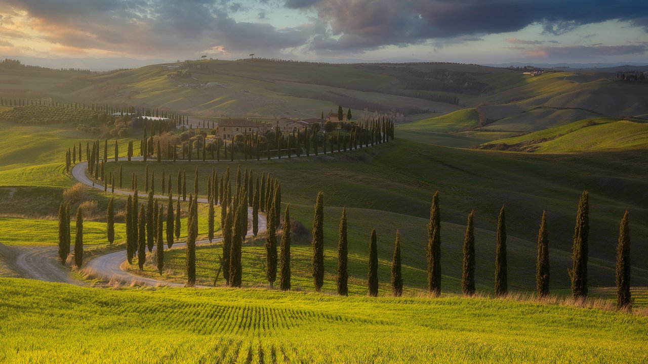 Tuscany Landscape with Cypress Trees - HDV 720p wallpapers in 1280x720 resolution