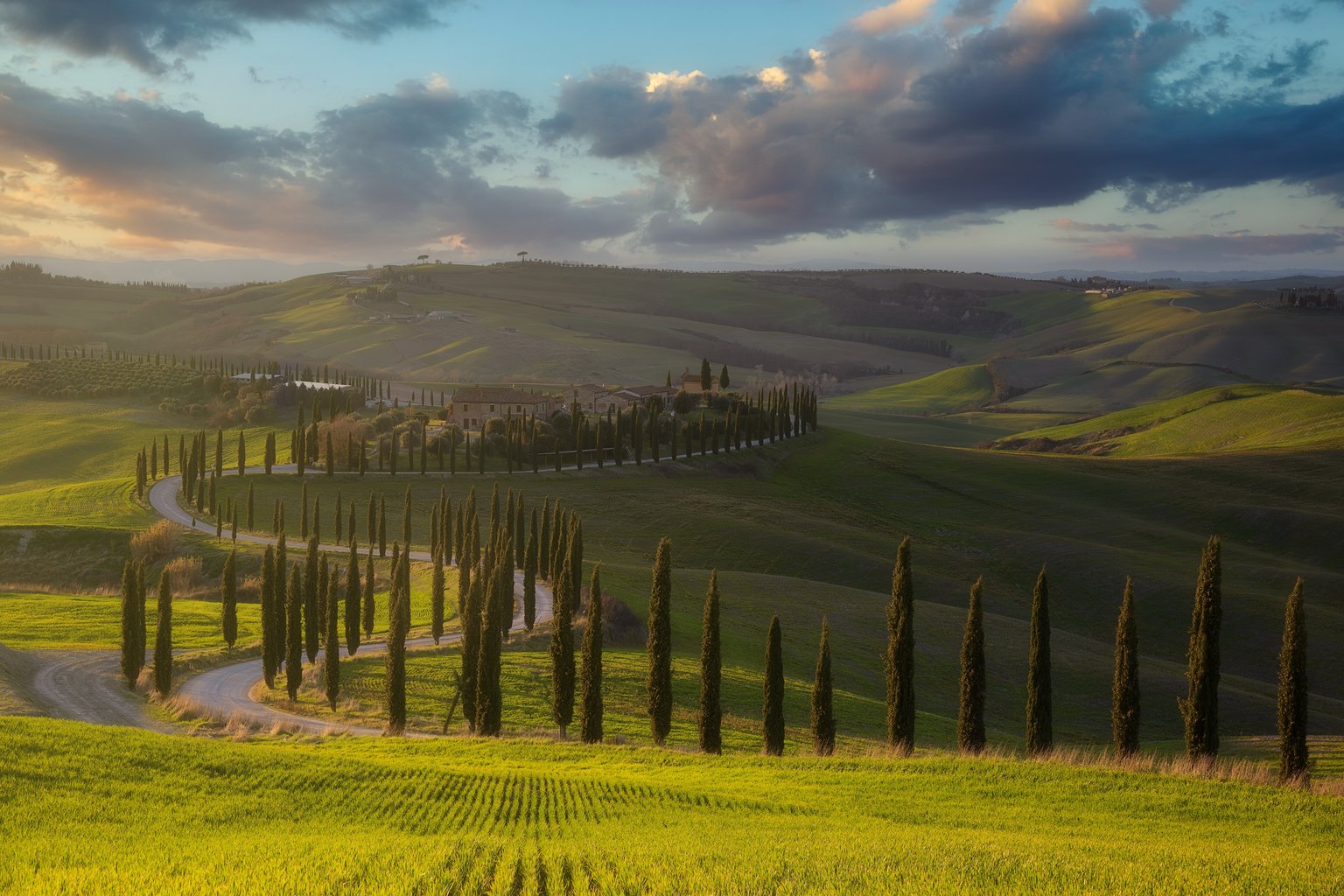 Tuscany Landscape with Cypress Trees - Microsoft Surface 12.4″ wallpapers in 1536x1024 resolution