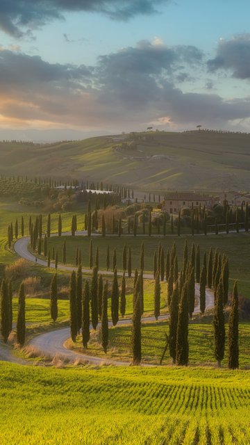 Tuscany Landscape with Cypress Trees - Wallpapers for Nokia, Samsung in 360x640 resolution