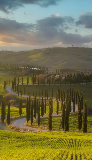 Italy Wallpapers for iPhone 5/5S/5C/SE (640x1136): Italy, Tuscan, cypress, valley