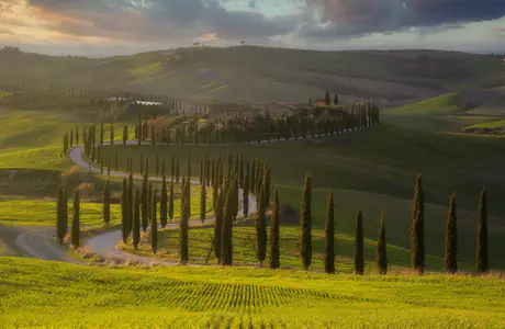 Nature wallpapers: Italy, Tuscan, cypress, valley