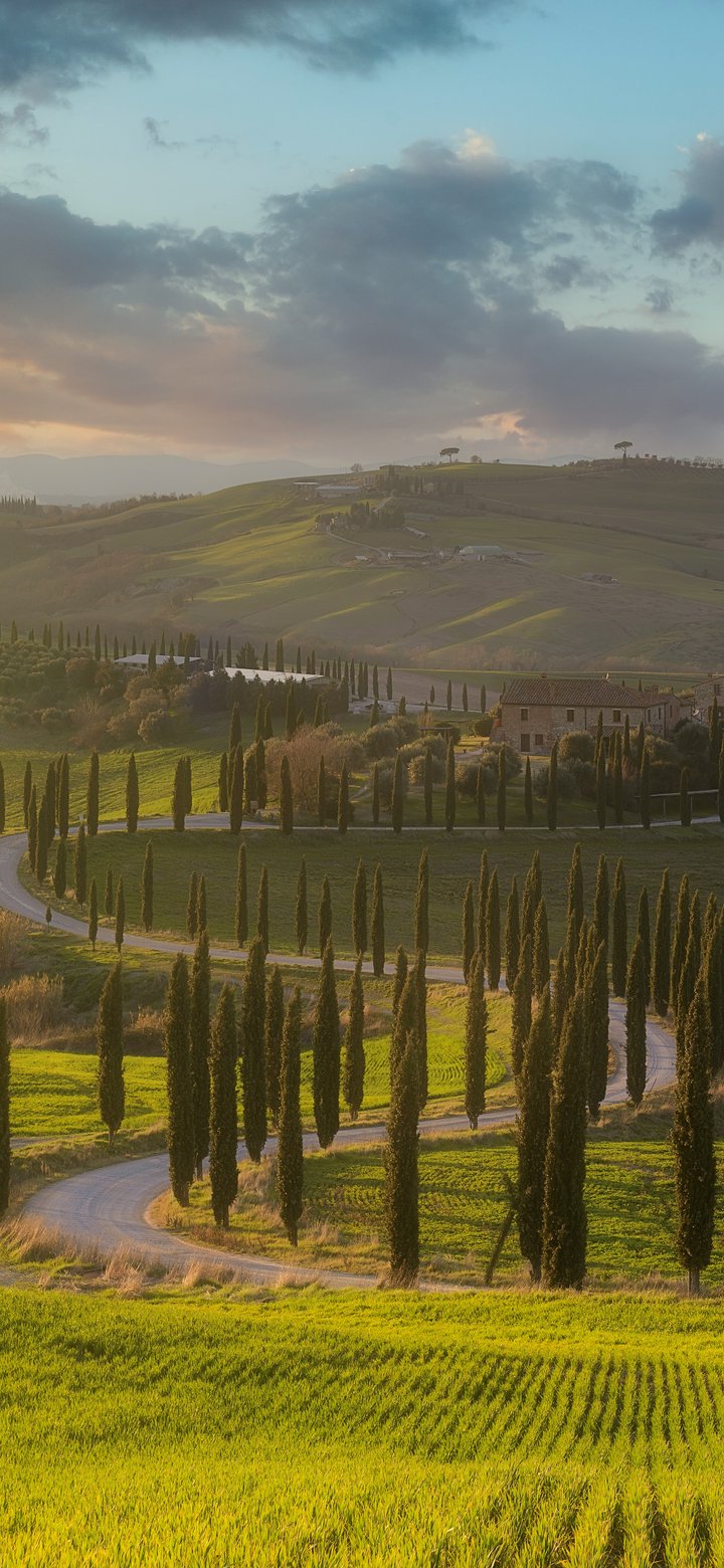 Tuscany Landscape with Cypress Trees - Wallpapers for Samsung Galaxy A11/A20e/A20/M11, Xiaomi Redmi 9A/9C, POCO C40 in 720x1560 resolution