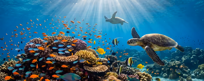 UltraWide 21:9 Fish wallpapers (2560x1080): Anemone, ocean, reef, corals