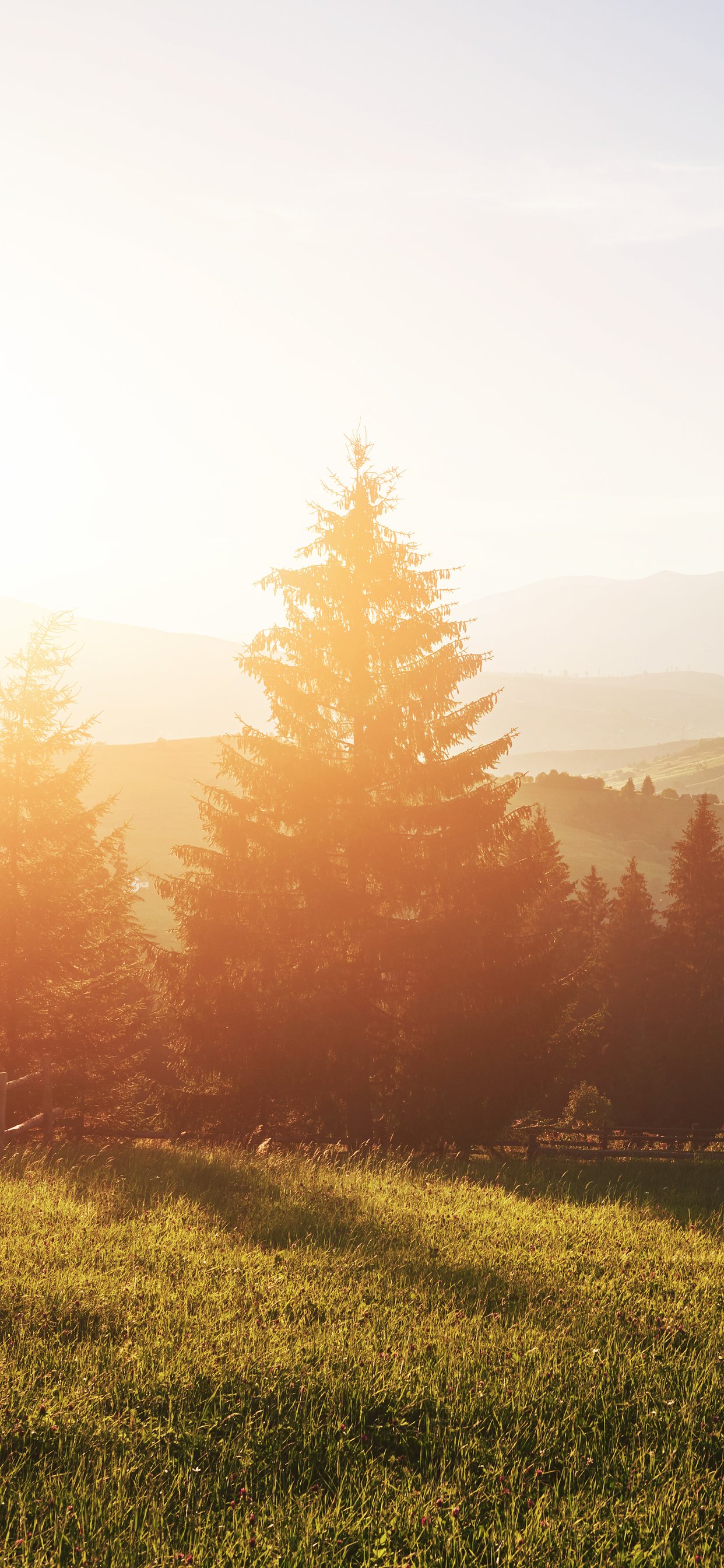 Colorful Sunset Over a Mountain Field - Wallpapers for iPhone 11 Pro Max in 1242x2688 resolution