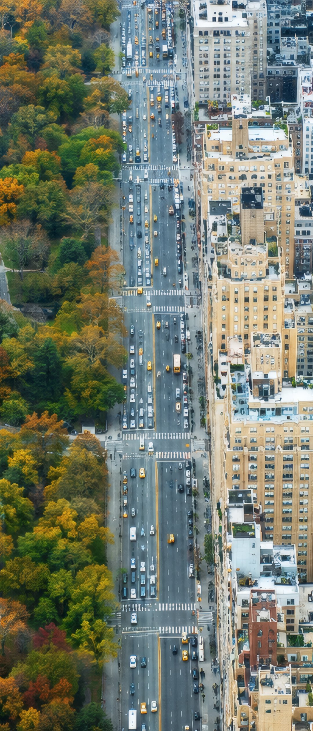 Central Park and Manhattan Skyline - Wallpapers for Samsung Galaxy Z Flip7, Sony Xperia 5 II/5 III/5 V/10 IV/10 V, Xiaomi Mix Fold 3 in 1080x2520 resolution