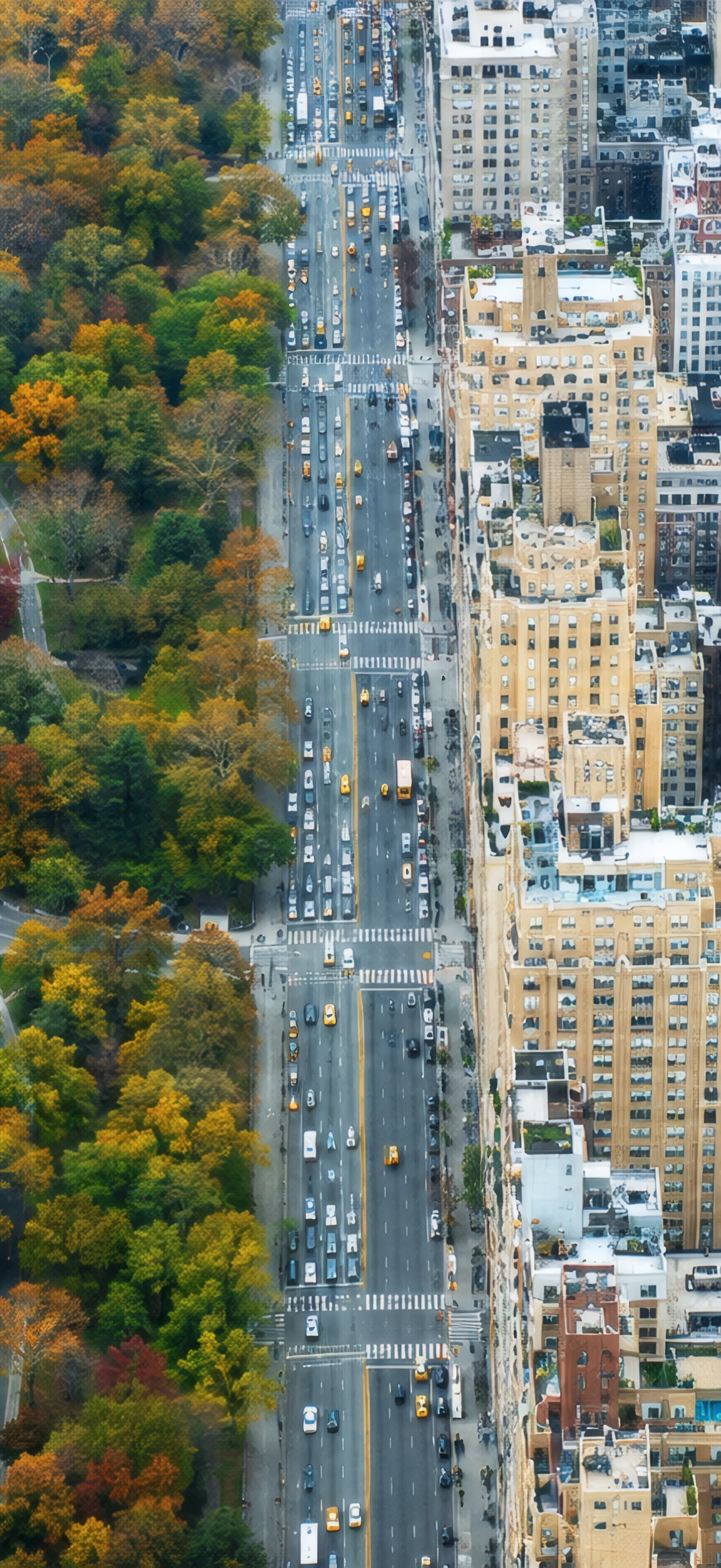 Central Park and Manhattan Skyline - Wallpapers for iPhone 18 Pro/18/17 Pro/17/16 Pro in 1206x2622 resolution