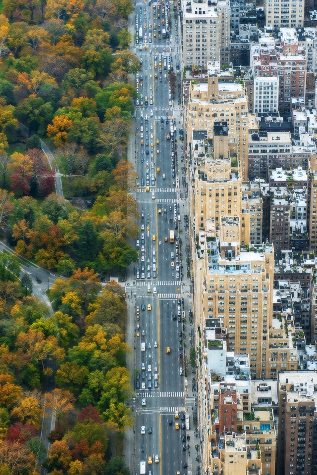 Central Park and Manhattan Skyline - Wallpapers for iPhone 4/4S in 640x960 resolution