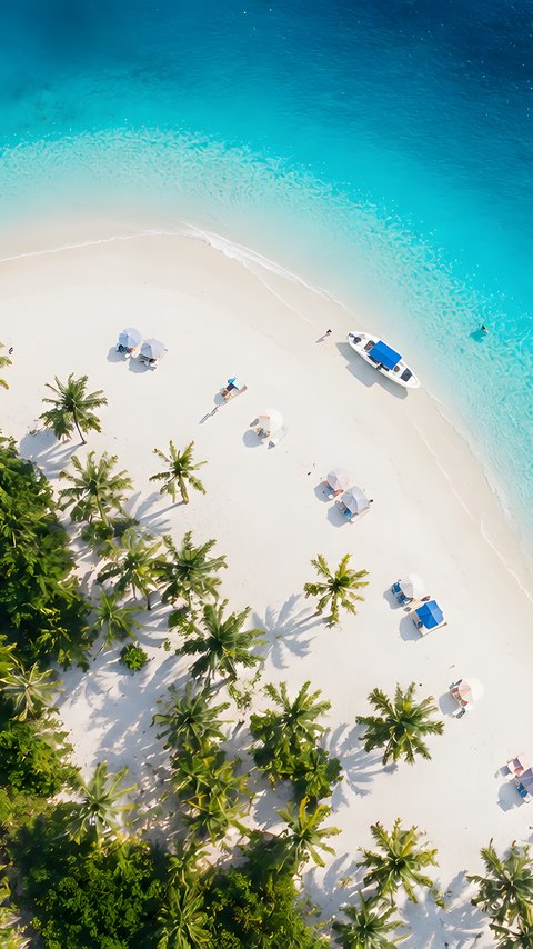 Tropical Island Beach from Above - Wallpapers for LG/ASUS in 480x854 resolution