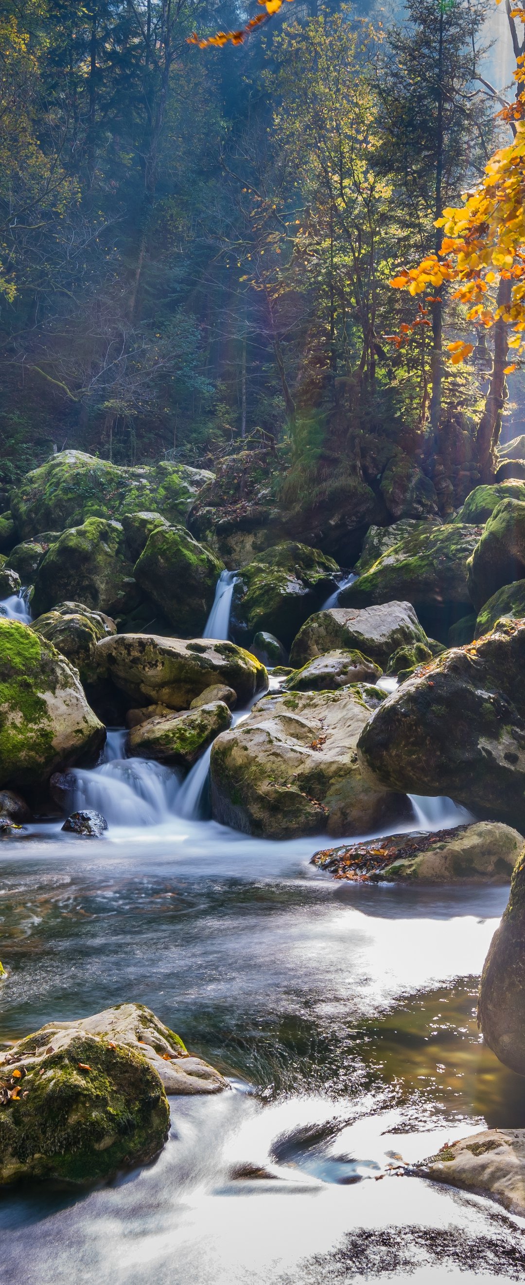 Forest stream and waterfall in the wild forest - Wallpapers for Samsung Galaxy Z Flip6, Motorola Razr 2025 in 1080x2640 resolution