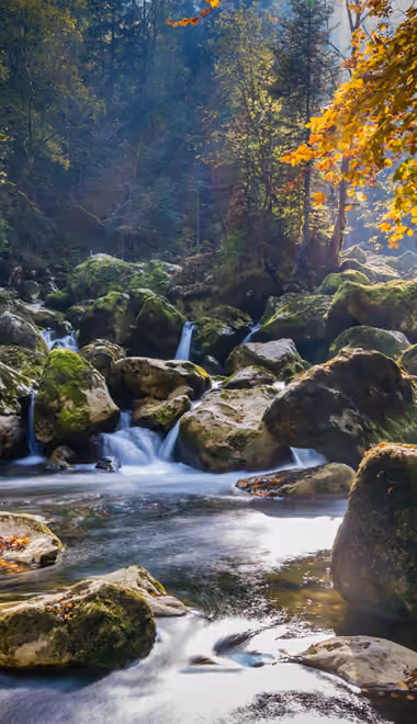 Обои природа: лес, ручей, водопад, река