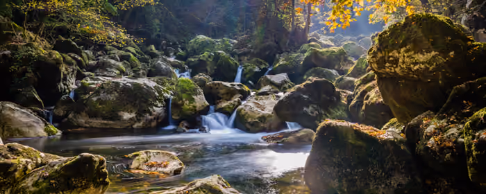 Обои природа: лес, ручей, водопад, река