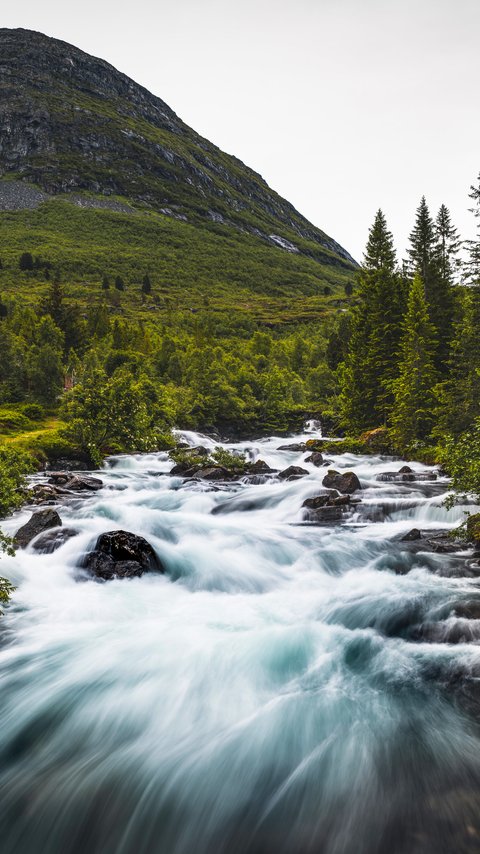 Northern Norwegian Village Waterfall - Wallpapers for LG/ASUS in 480x854 resolution
