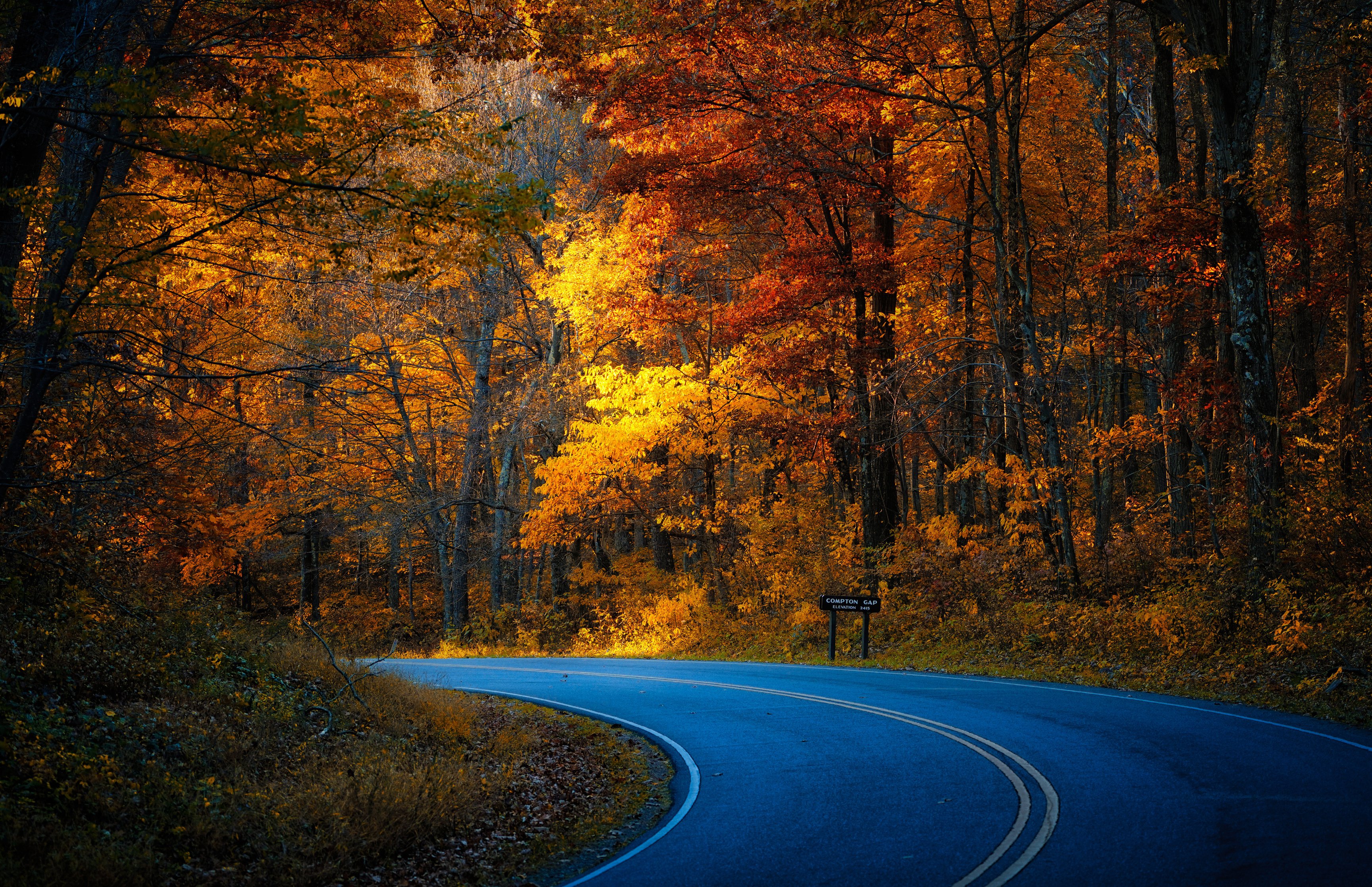 Autumn Road Through a USA Forest - Wallpapers for Apple MacBook 16.2″ in 3456x2234 resolution