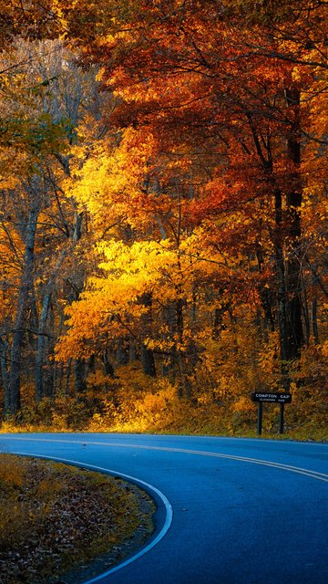 Autumn Road Through a USA Forest - Wallpapers for Nokia, Samsung in 360x640 resolution