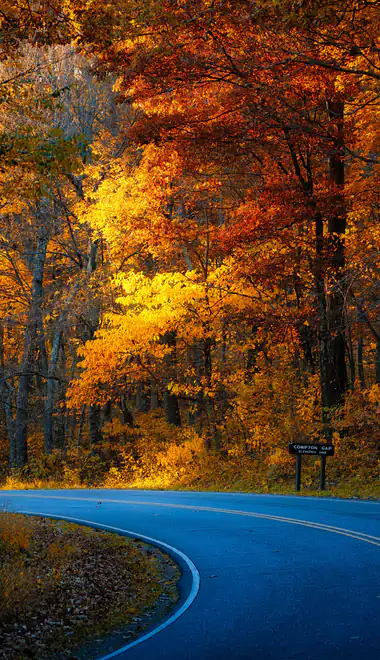 Wallpapers for Samsung (360x740): USA, autumn, national park, road