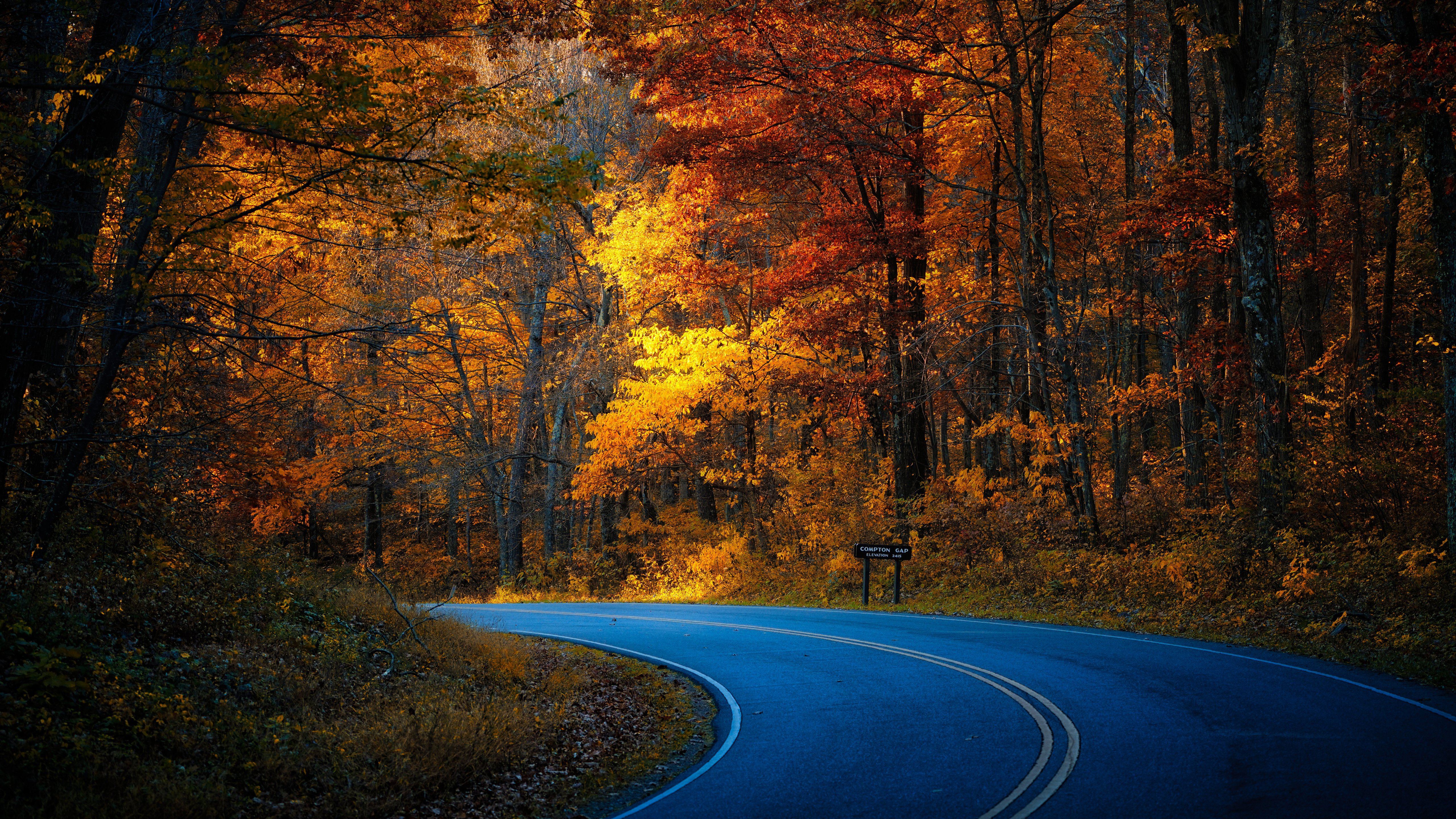 Autumn Road Through a USA Forest - 5K wallpapers in 5120x2880 resolution