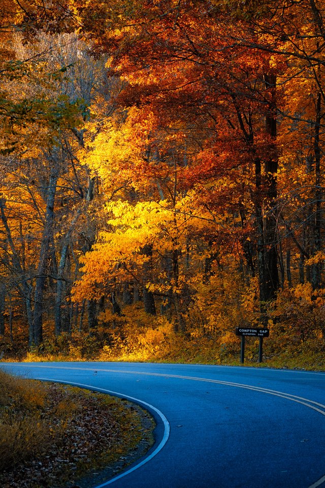 Autumn Road Through a USA Forest - Wallpapers for iPhone 4/4S in 640x960 resolution