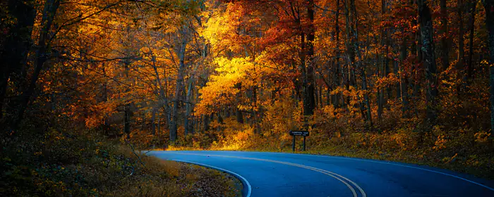 UltraWide 32:9 обои (3840x1080): США, осень, национальный парк, дорога